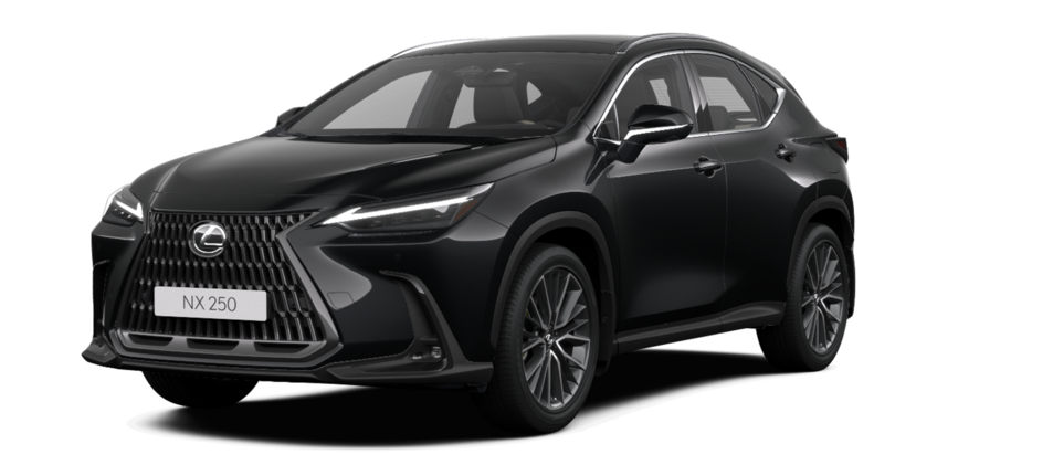 Новый автомобиль Lexus NX 250 Luxuryв городе Астана ДЦ - Lexus KZ свободный склад