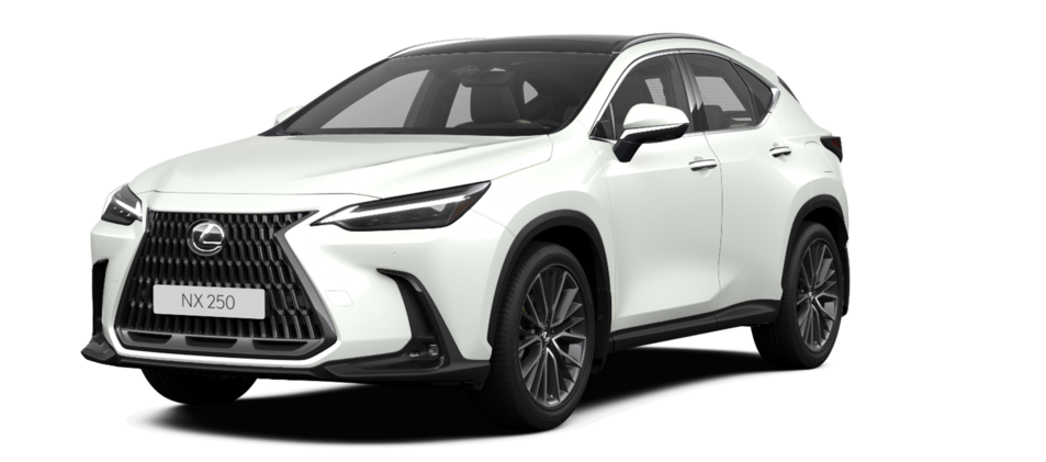 Новый автомобиль Lexus NX 250 Luxuryв городе Астана ДЦ - Lexus KZ свободный склад