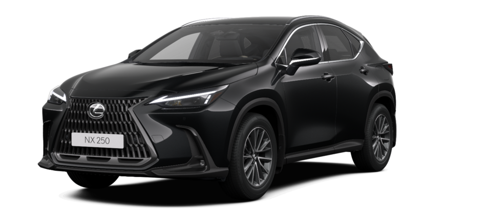 Новый автомобиль Lexus NX 250 Executiveв городе Астана ДЦ - Lexus KZ свободный склад