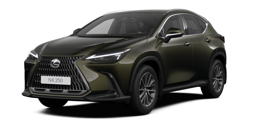 Новый автомобиль Lexus NX 250 Executiveв городе Астана ДЦ - Lexus KZ свободный склад