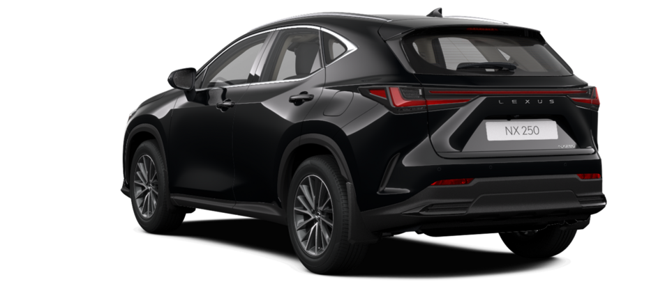 Новый автомобиль Lexus NX 250 Executiveв городе Астана ДЦ - Lexus KZ свободный склад