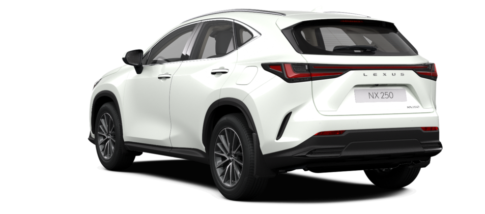 Новый автомобиль Lexus NX 250 Executiveв городе Астана ДЦ - Lexus KZ свободный склад