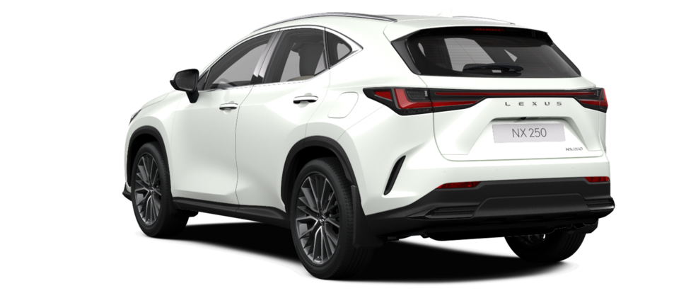 Новый автомобиль Lexus NX 250 Luxuryв городе Астана ДЦ - Lexus KZ свободный склад