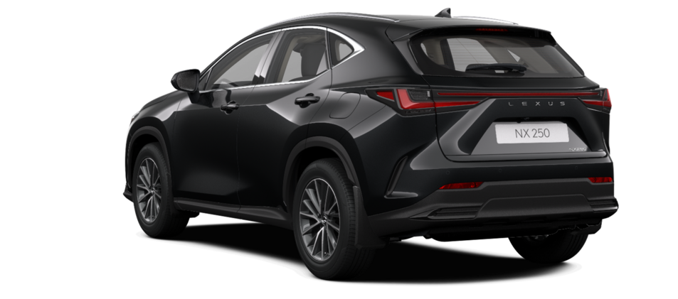 Новый автомобиль Lexus NX 250 Executiveв городе Астана ДЦ - Lexus KZ свободный склад