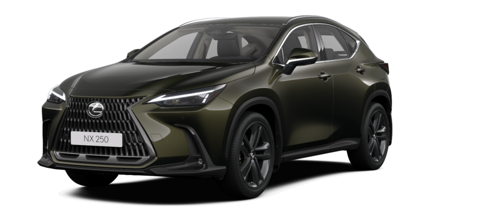 Новый автомобиль Lexus NX 250 Premiumв городе Астана ДЦ - Lexus KZ свободный склад