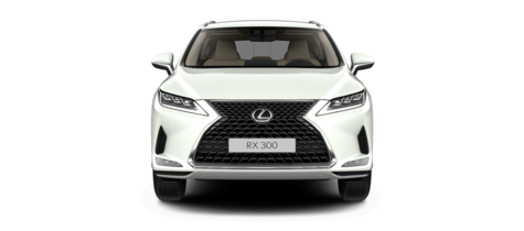 Новый автомобиль Lexus RX 300 AWD Executiveв городе Москва ДЦ - Лексус - Новорижский