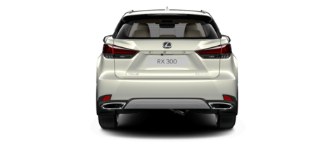 Новый автомобиль Lexus RX 300 AWD Executiveв городе Москва ДЦ - Лексус - Новорижский