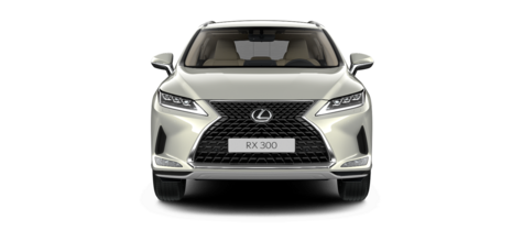 Новый автомобиль Lexus RX 300 AWD Executiveв городе Москва ДЦ - Лексус - Новорижский