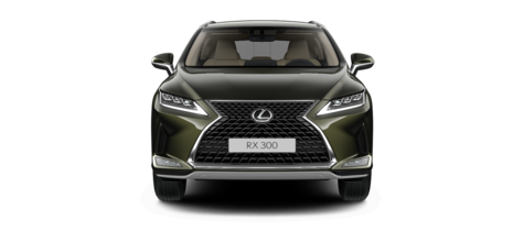 Новый автомобиль Lexus RX 300 AWD Executiveв городе Москва ДЦ - Лексус - Новорижский