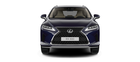 Новый автомобиль Lexus RX 300 AWD Executiveв городе Москва ДЦ - Лексус - Новорижский