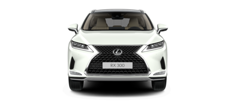 Новый автомобиль Lexus RX 300 AWD Luxuryв городе Москва ДЦ - Лексус - Новорижский