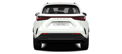 Новый автомобиль Lexus NX Luxury 250в городе Актобе ДЦ - Лексус Актобе